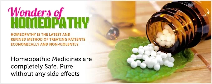 Image of: Foot Reflexology in Anna Nagar