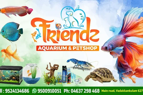 Image of: Friendz Aquarium Vaddakkankulam - Fish & Aquarium Products
