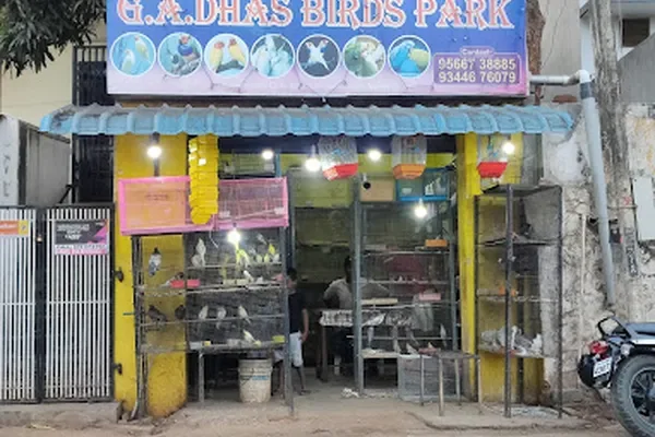 Image of: G.A. Dhas Birds Park Nagercoil - Bird Sanctuary