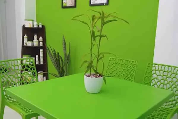 Image of: GIRIAN Wellness & Nutrition Club - Weight Loss & Fitness