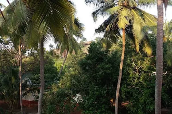 Image of: Gandhi Park - Explore Nature and History in Your City