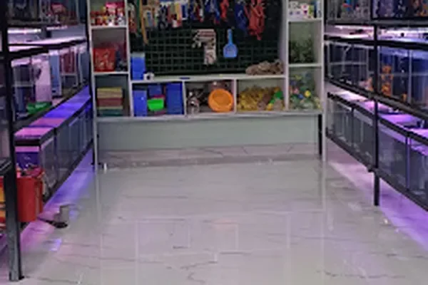 Image of: Gloriya Pets and Aquarium Methukummal - Fish & Pet Products