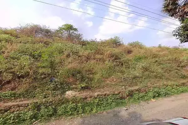 Image of: HOTEL AJI - Local Delicacies