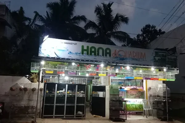 Image of: Hana Aquarium & Pets Azhagiyamandapam - Fish & Pet Products
