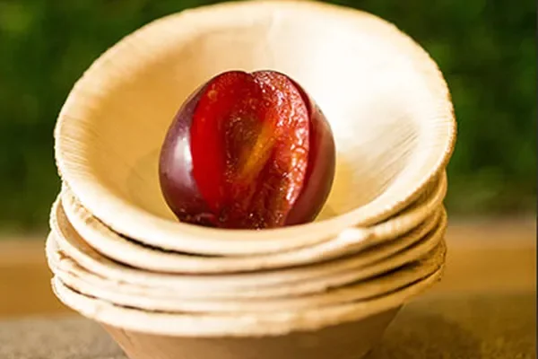 Image of: Harrison Universal Export - Eco-Friendly Palm Leaf Products