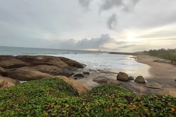 Image of: Helen Nager Beach Guide - Activities and Attractions