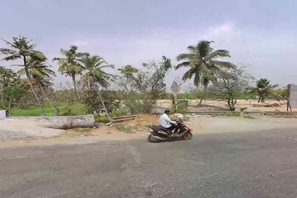 Image of: I WORLD RESTAURANT - Regional Dishes