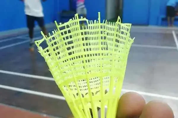 Image of: Indoor Badminton Court - Professional Training Facility