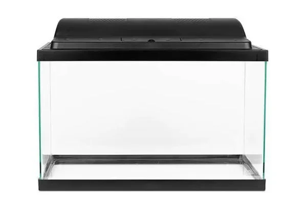 Image of: JGP Aquarium – Premium Aquatic Store in Thittuvilai