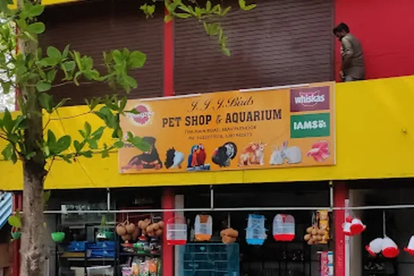 Image of: JJJ Birds, Pets & Aquarium – All-in-One Pet Store in Pulippunam