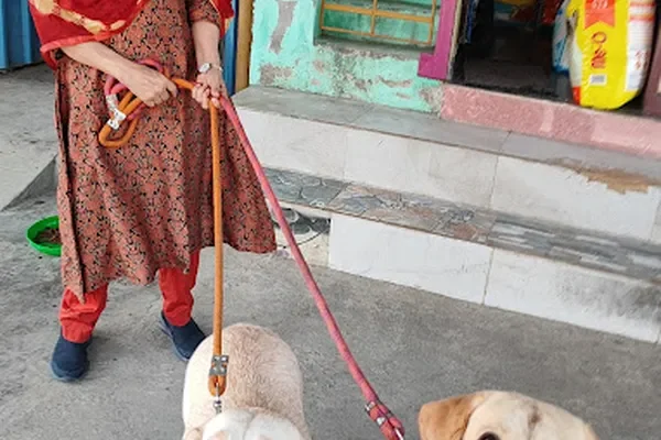 Image of: Jaihind Pets Medical Nagercoil - Veterinary Services