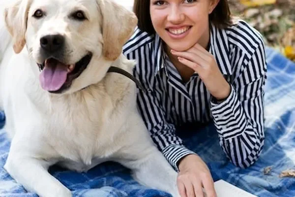 Image of: James Dog Training School Expert Obedience Courses