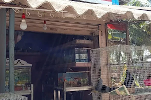 Image of: Jeni Aquarium and Pets Manalikarai - Aquatic Pets & Products