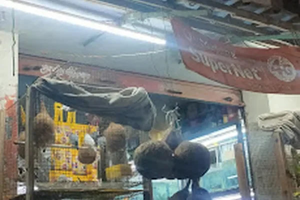 Image of: Jeyam Aquarium – Exotic Fish & Aquarium Supplies in Thingal Nagar