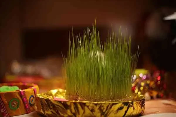 Image of: Josephin Studio F - Cinematic Wedding Photography and Videos