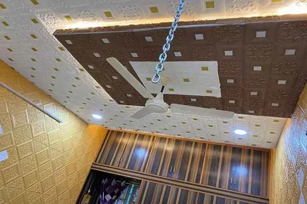 Image of: Kaarmika 3d cushion