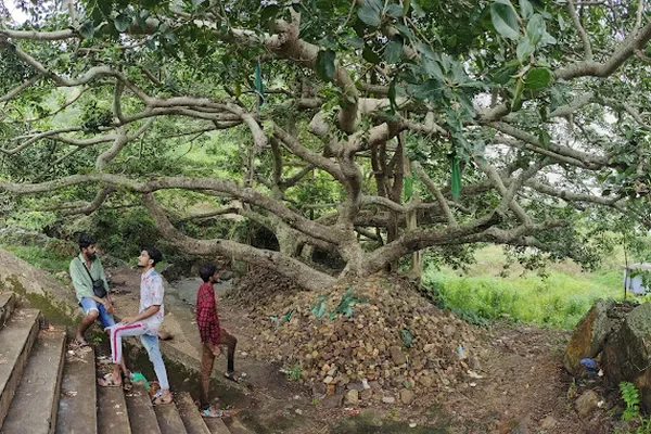 Image of: Kaattuvasai Malapalli Mosque Vilavur