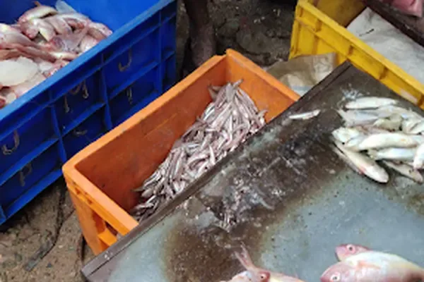 Image of: Kalluvilai Fish Market - Fresh Fish & Seafood