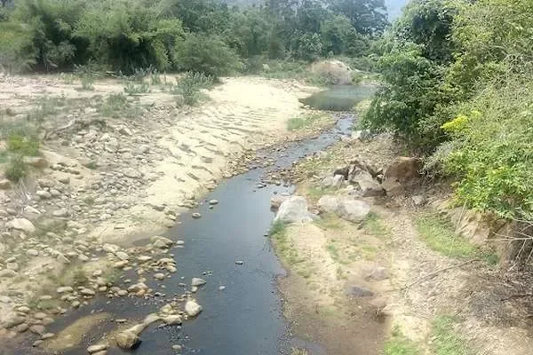 Image of: Kanyakumari Wildlife Sanctuary Guide Tamil Nadu