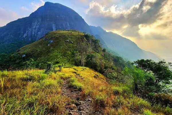 Image of: Koonichi View Point Scenic Spot in Japan