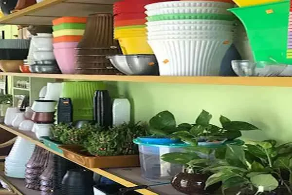 Image of: Kumaran Nursery Garden - Plants and Gardening Supplies