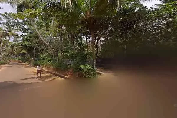 Image of: LAST CHANCE APPARTMENT AND SAMARIYA HOME STAY - Cozy Stays and Local Dining