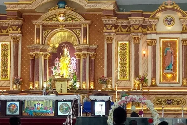 Image of: Lady Of Health Shrine Thoothoor