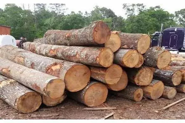 Image of: Lebanon Timbers Depot