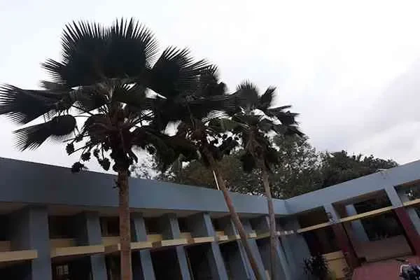 Image of: Lekshmi Thanga Mazhigai Nagai Thoolilagam - Quality Ayurvedic Services