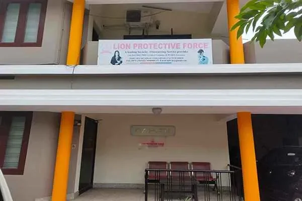 Image of: Lion Protective Force