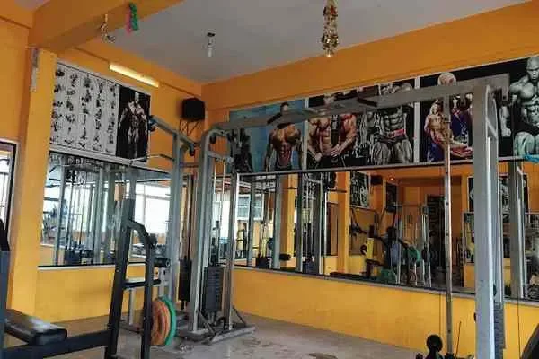 Image of: Lion Gym - Strength and Fitness Training Center