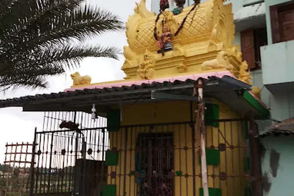 Image of: MAANMARK Agro – Quality Animal Feed & Pet Food in Thovalai