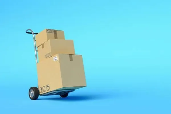 Image of: MJN EXPORTS AND IMPORTS - Trusted Export & Import Services