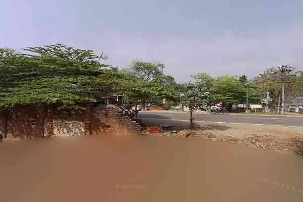 Image of: Magic Pan - Innovative Pan Dishes and Snacks