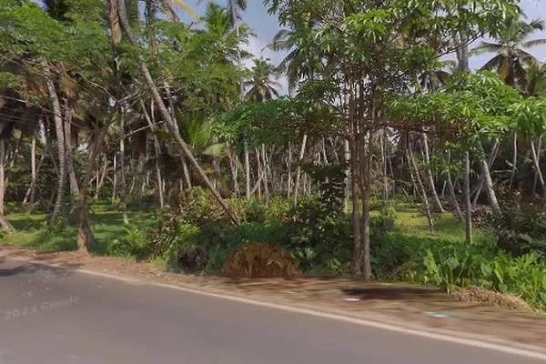 Image of: Mandaikadu Beach Visit Guide Top Attractions and Tips