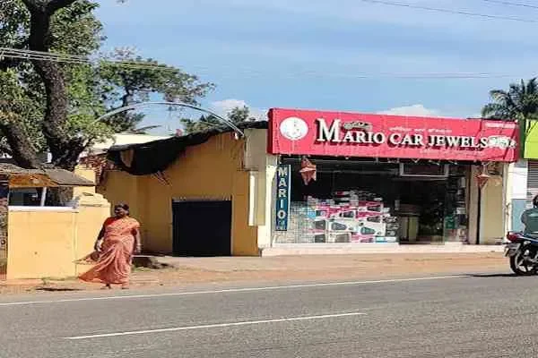 Image of: Mario Car Jewels Car Accessories and Decor