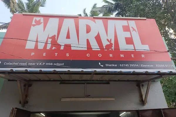 Image of: Marvel Pets Corner Trusted Pet Store in Nagercoil