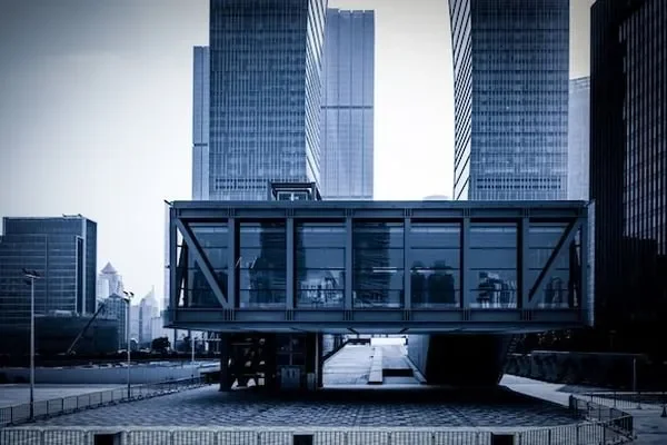 Image of: Mewscat Trust - Premium Pet Care Services