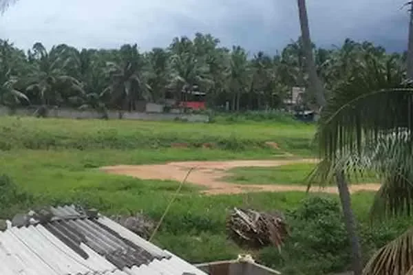 Image of: Moolachenvilai Cricket Ground - Popular Cricket Ground for Fitness