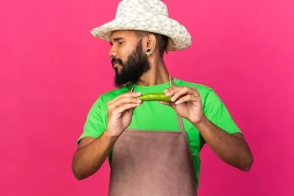 Image of: Mr Greens Bakery - Fresh Breads and Delicious Treats