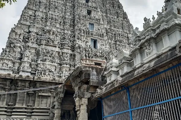 Image of: Musical Pillars in Sthanumalaya Temple Suchindram