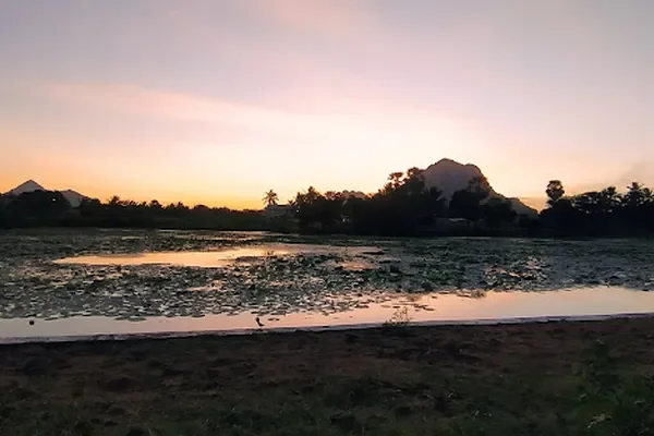Image of: Mylaudy Aalamarath Amman Temple - Divine Blessings at Aalamarath Amman Temple