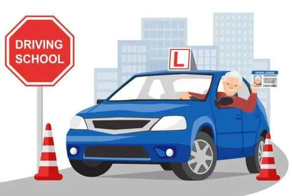 Image of: NM Driving School - Comprehensive Driving Courses for All Vehicles