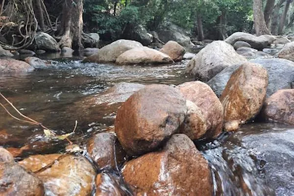 Image of: Nambi Kovil Falls - Explore This Hidden Natural Gem