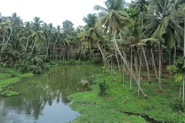 Image of: Natures Beauty - Discover Stunning Natural Landscapes