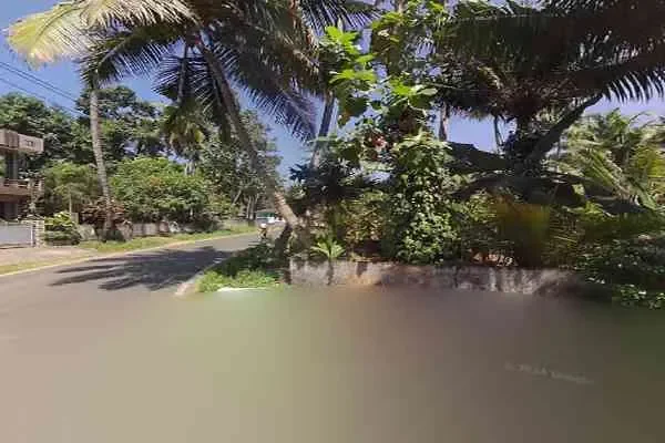 Image of: Nature's Herbal Beauty Parlour – Organic Beauty Treatments for All