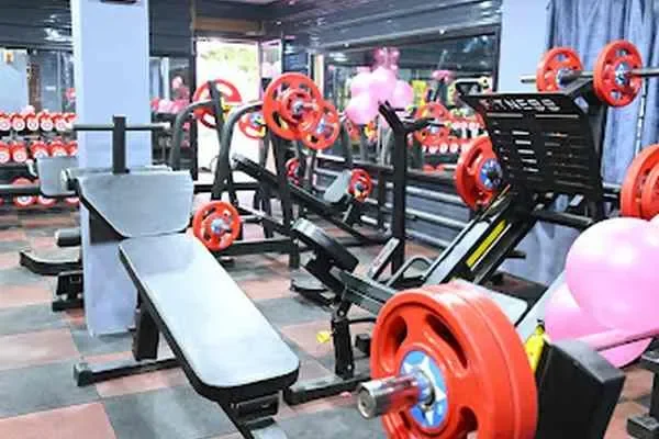 Image of: Oliver Gym - Professional and Reliable Gym