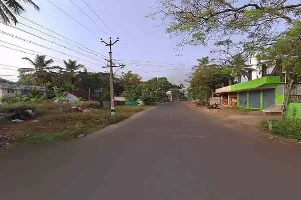Image of: Open Garden - Fresh Dining in a Serene Outdoor Setting