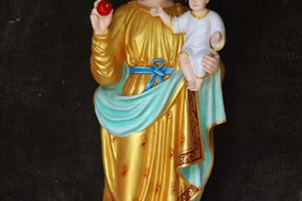 Image of: Our Lady of Snows Church Mela Alanvilai Gnarode