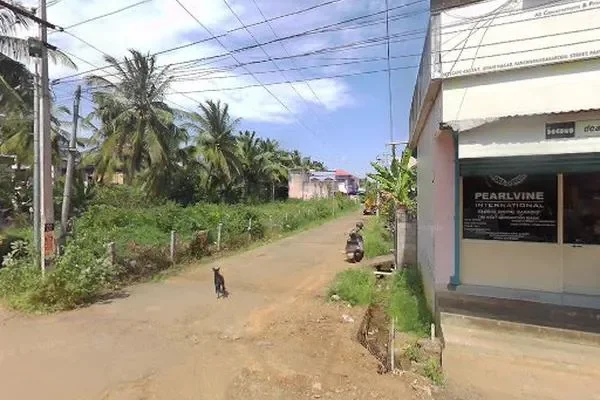 Image of: Pearlvine International - Global Solutions Provider